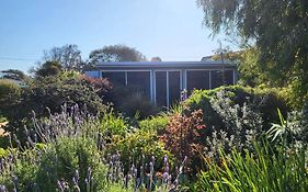 The Dunes - King Studio - 50M From Scamander Beach